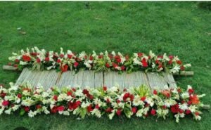 “मौत के बाद ही क्यों इस्तेमाल होता है बांस? जानिए अंतिम यात्रा का गहरा रहस्य”