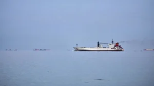 ‘होर्मुज में केवल हमारे नाविक मारे गए’: 60 देशों की बैठक में भारत की सख्त चेतावनी